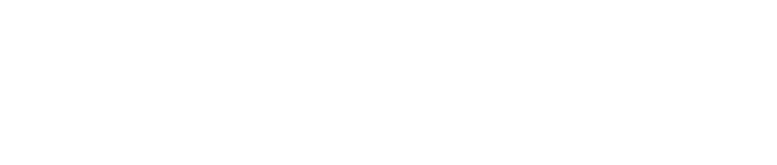 RaideX
